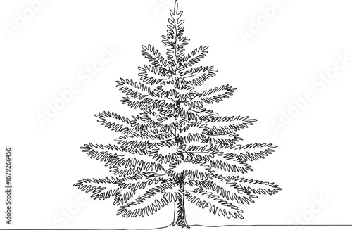 Elegant Spruce Tree Line Art Illustration in Monochrome Simplici