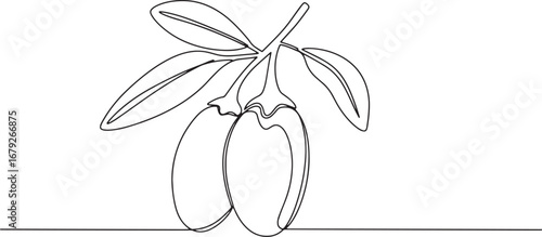 Elegant single line drawing of goji berry fruits, isolated on wh