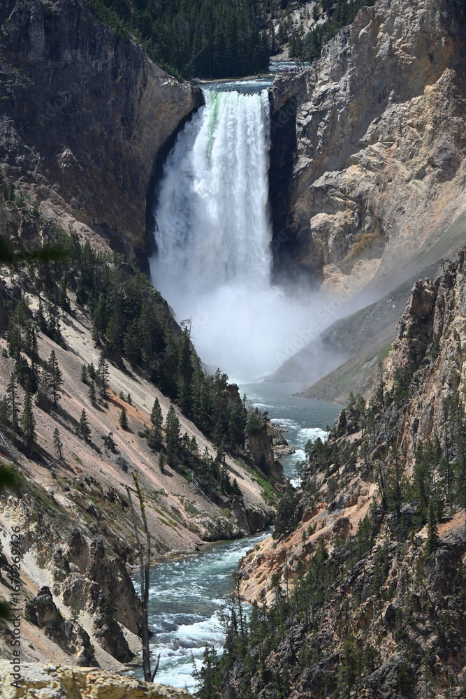 Fototapeta premium Lower Falls, Grand Canyon of the Yellowstone, Wyoming, USA.