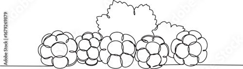 Elegant cloudberry arrangement in simple continuous line art ill