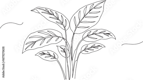Elegant Calathea Plant Continuous Line Art for Modern Botanical