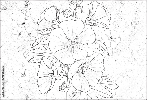 Detailed Hollyhock Flower Illustration with Floral Background Co