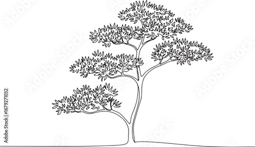Elegant single line drawing of a stylized tree against a white b