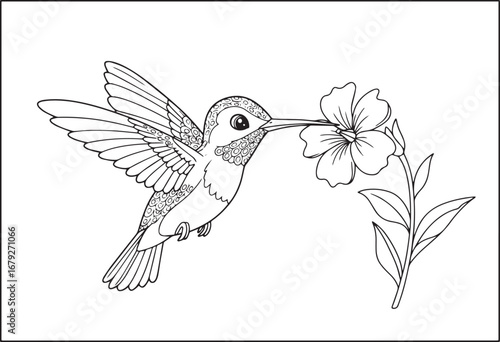 Delicate hummingbird hovering gracefully near a vibrant blossom,