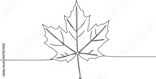 Elegant continuous line drawing showcasing a maple leaf, minimal