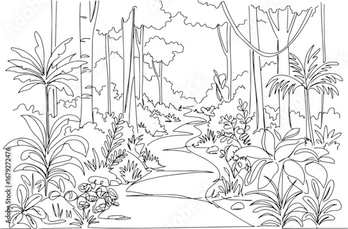Serene linear artwork capturing a rainforest path with abundant
