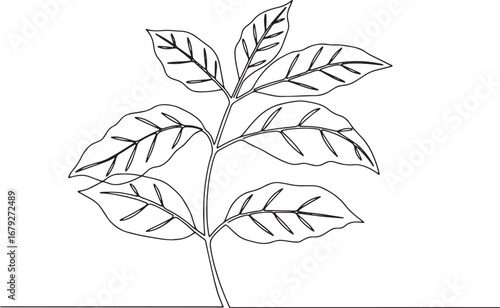 Elegant foliage line art depicting nature's grace and minimalist