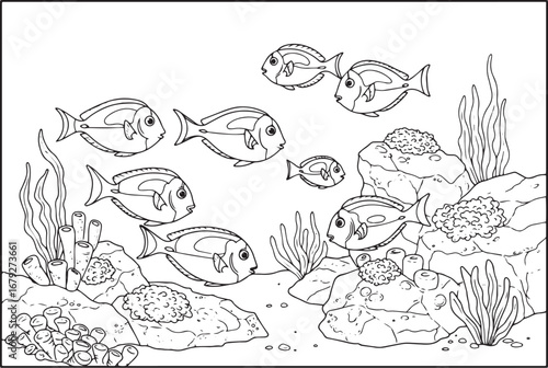 Black and white illustration of a school of fish swimming in an