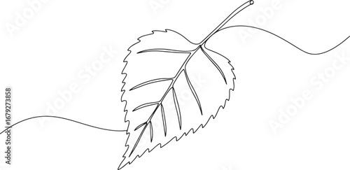 Minimalist birch leaf line art drawing for simplistic nature des