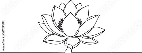 Elegant Single Line Lotus Flower Illustration on White Backgroun