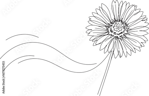 Stylized Gaillardia flower line art with dynamic wave elements c