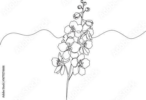 Elegant continuous line drawing of larkspur flower showcasing mi