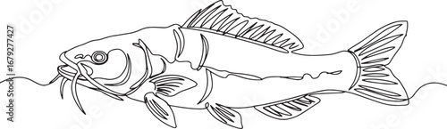 Minimalist Catfish Illustration: A Single Continuous Line Drawin