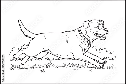 Dynamic black and white drawing of a rottweiler dashing through
