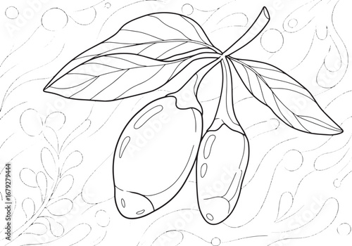 Goji Berries Illustration: A Fresh and Modern Twist on Nutrition