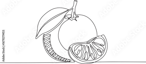 Elegant Clementine Fruit Line Art Illustration for Minimalist De