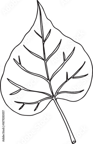 Detailed redbud leaf outline illustration isolated on clean whit