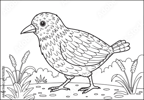 Black and White Bird Coloring Page Illustration of Small Bird St
