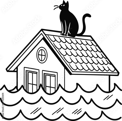 cat on the roof