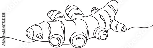 Minimalist line drawing of turmeric root, a culinary spice and h