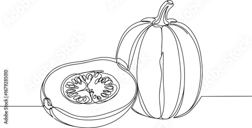 Continuous line drawing of spaghetti squash, minimalist vegetabl