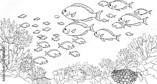 Underwater scene illustration black and white line drawing with