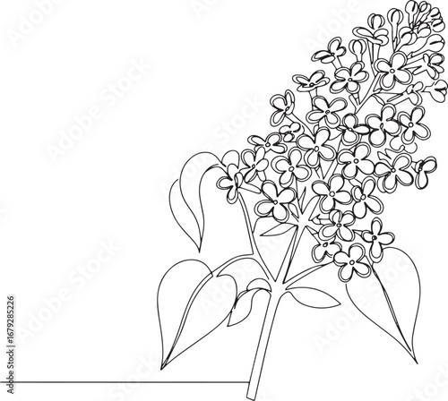 Elegant one-line drawing of a blooming lilac plant, minimalist f