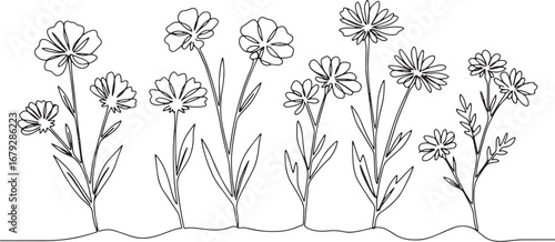 Elegant continuous line drawing of whimsical wildflowers in a mi