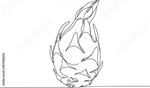 Elegant Pitaya Continuous Line Drawing on White Background for M