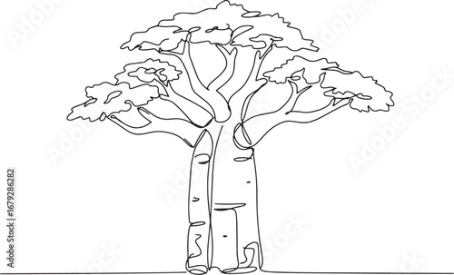 Elegant single line drawing of a majestic baobab tree with spraw