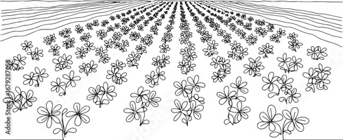 Monochrome Linear Field: An Abstract Depiction of Agricultural H