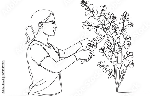 Line drawing of a woman pruning bougainvillea bush in black and