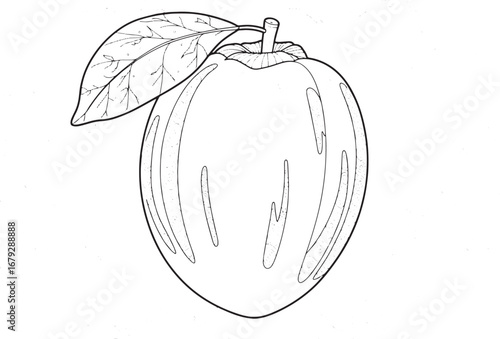 Pepino melon coloring page with intricate floral patterns backgr
