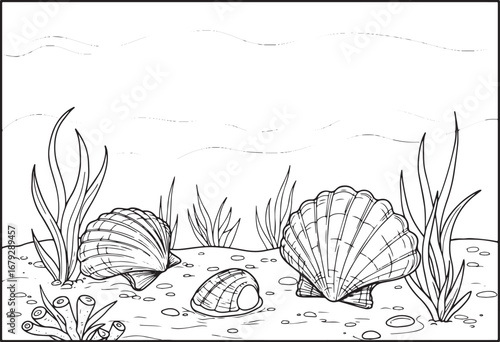 Seascape coloring page featuring scallops, seaweed and seabed, i
