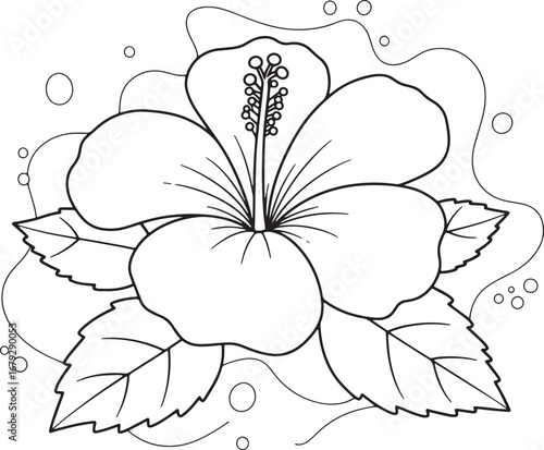 Elegant Hibiscus Flower Outline Illustration for Coloring or Bot