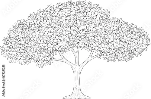 Elegant floral tree outline artwork, showcasing detailed blossom