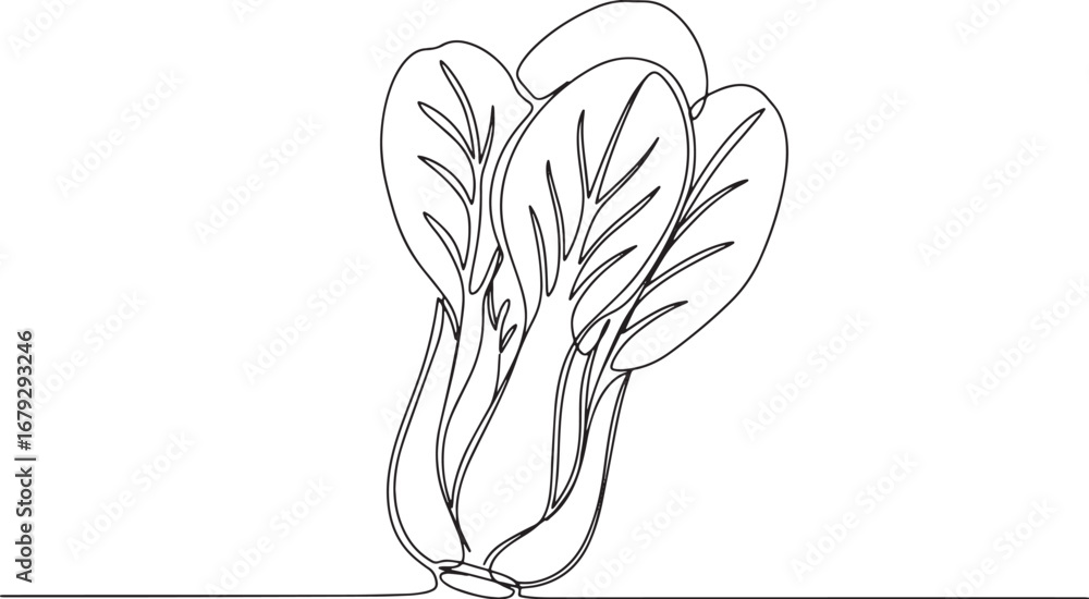 Fototapeta premium Minimalist line drawing of bok choy, fresh and vibrant green veg