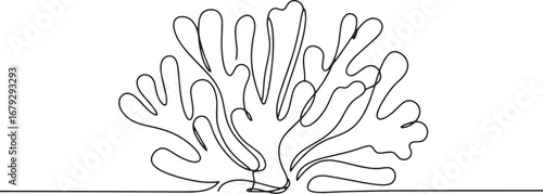 Minimalist one-line drawing of marine coral, evoking simplicity