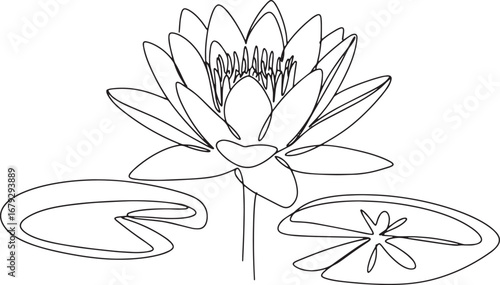 Elegant water lily line art illustration on a white background f