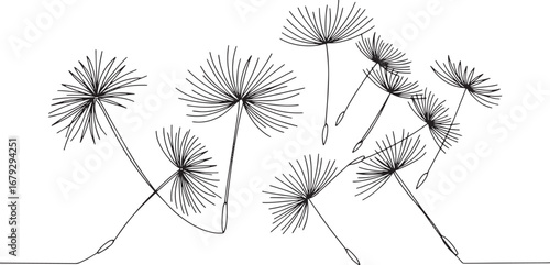 Elegant Dandelion Seeds Floating in the Wind Black and White Min