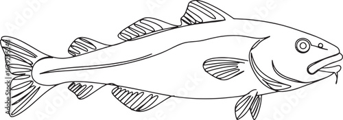 Simple Line Art Illustration of a Codfish on White Background fo