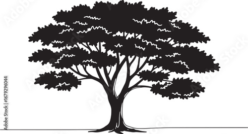 Elegant silhouette of a majestic ebony tree against a pristine w