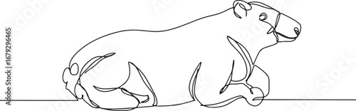 Minimalist single line drawing of a reclining bear against a whi
