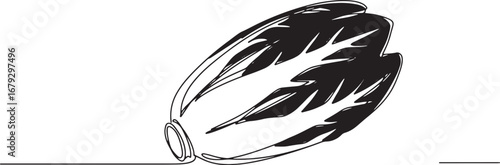 Radicchio vegetable single continuous line art drawing isolated