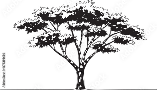 Illustration of a single mature tree with dense foliage and styl