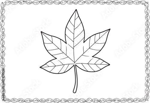 Outlined sweetgum leaf illustration with decorative border, bota