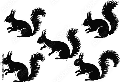 Squirrel silhouettes, woodland animal icons, bushy tail wildlife design, black and white forest creature art, nature mammal outline, rodent vector illustration set