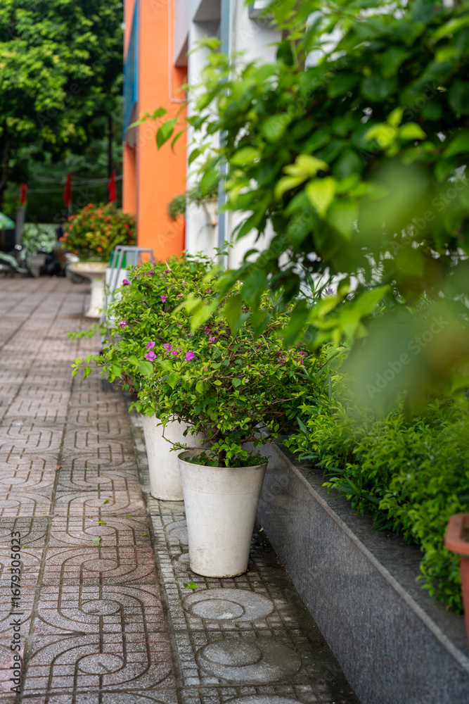 Fototapeta premium Vibrant greenery enhances the urban landscape.