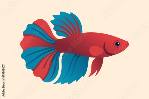 Betta Fish Vector