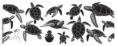 Collection of diverse sea turtle silhouettes in various swimming and crawling poses creating a textured graphic design element for ocean and marine life themes